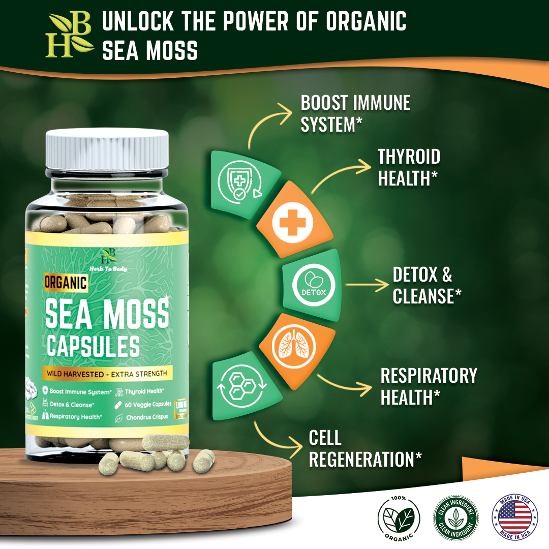 Herb To Body - Wholesale Oral Supplement/Vitamin - Organic Sea Moss Capsules (60 Cap) | Vitamins & Mineral Rich3