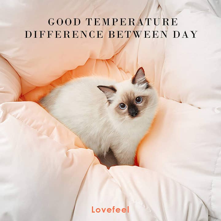 Kasentex - Wholesale Down Comforter - 700 Fill Power Comforter Down & Feather, Heavy Winter3