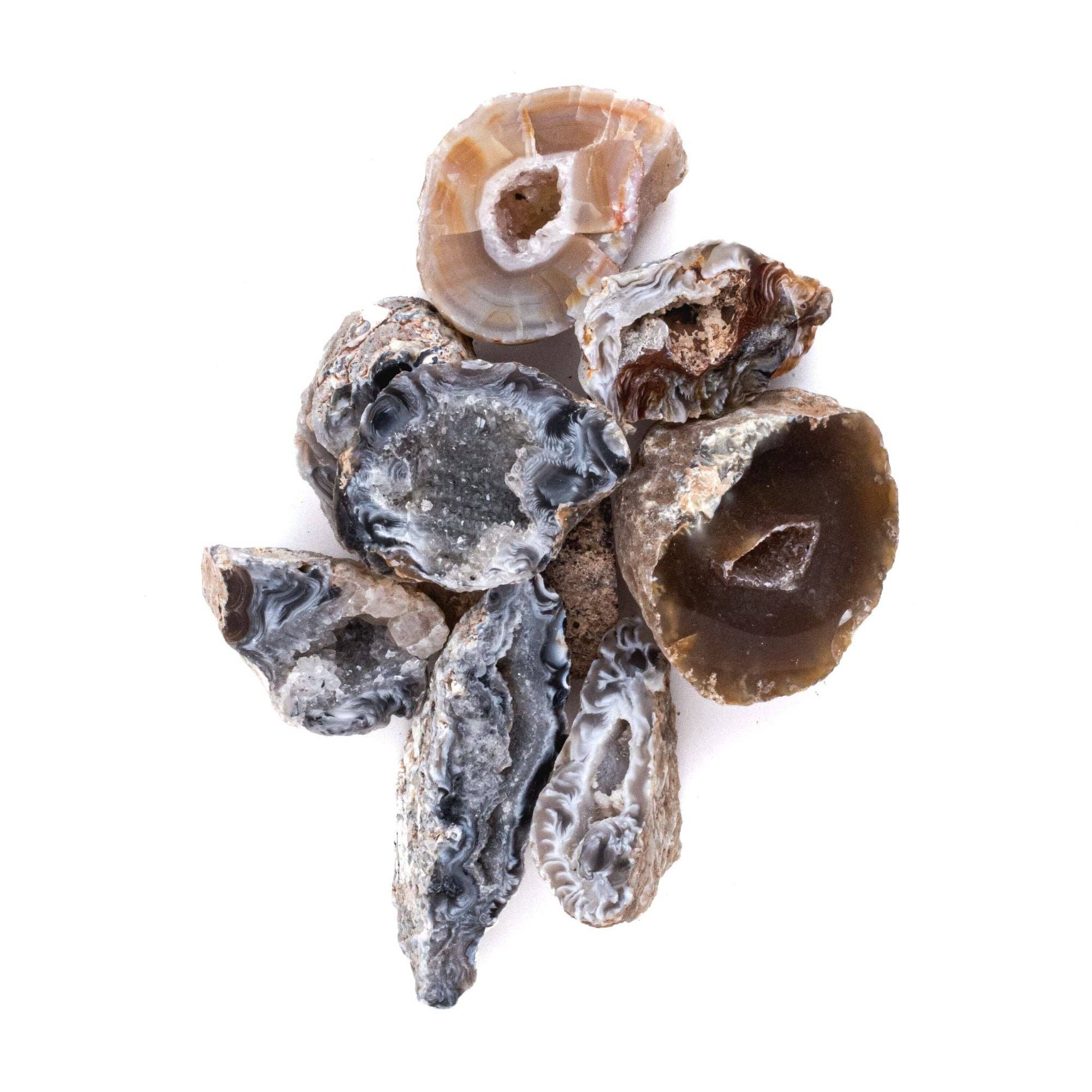 Tree of Life Gems - Wholesale Spiritual Stone/Crystal - NEW! Small Rough/Raw Agate Oco Geodes6