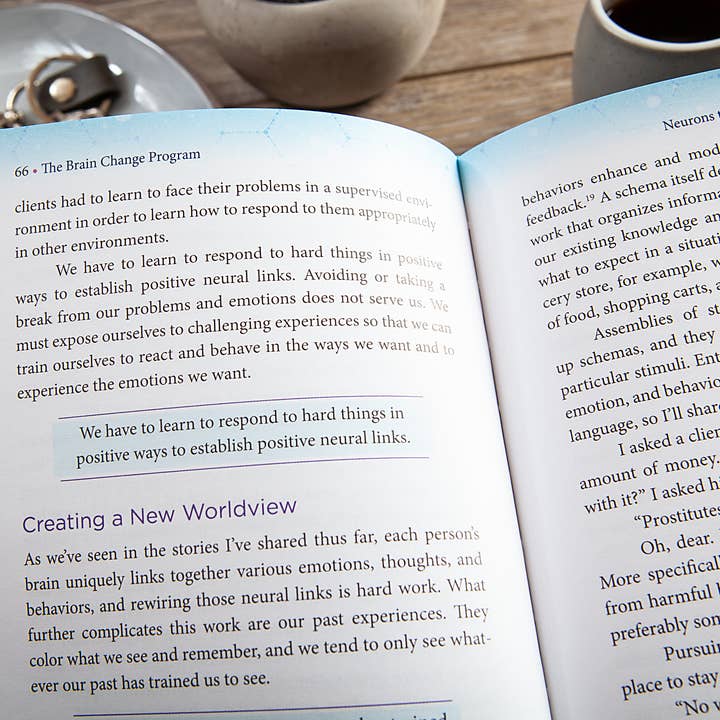 BroadStreet Publishing Group, LLC – wholesale Självhjälp och personlig utveckling – Hjärnförändringsprogrammet (Självhjälpsbok)2