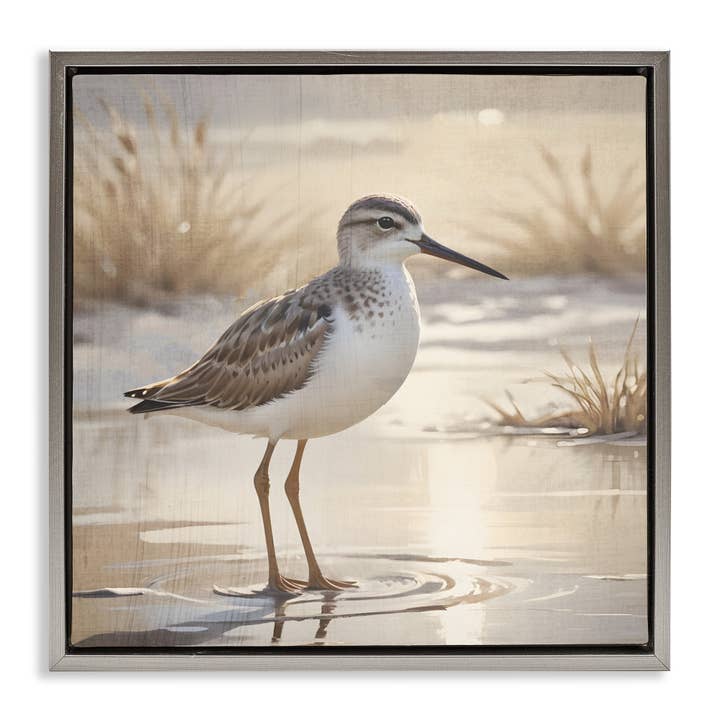 Stupell Industries – wholesale Wall sign – Sunlit Sandpiper in Shallow Water - Framed Wall Art25