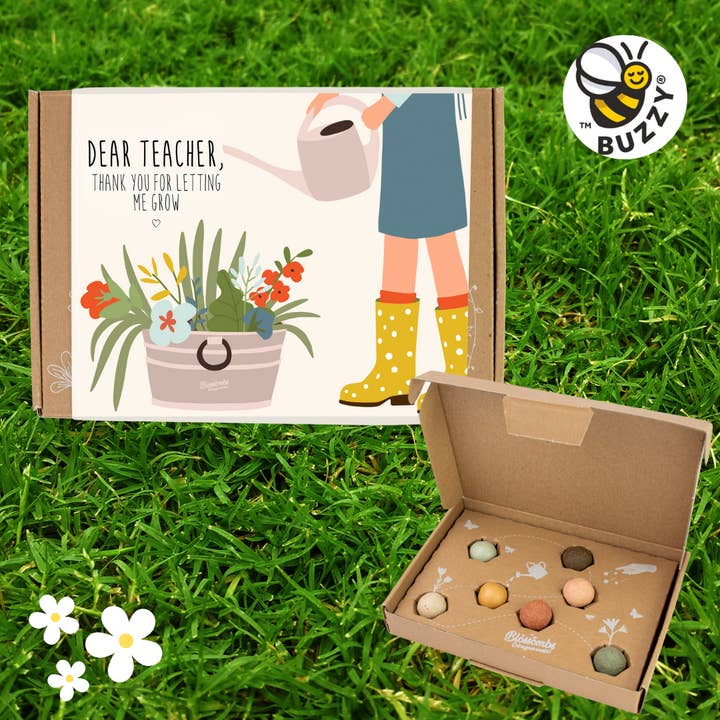 Buzzy, Inc. - Wholesale Plant Seeds - Blossombs Small Box - Dear Teacher- 7 Seed Bomb Balls