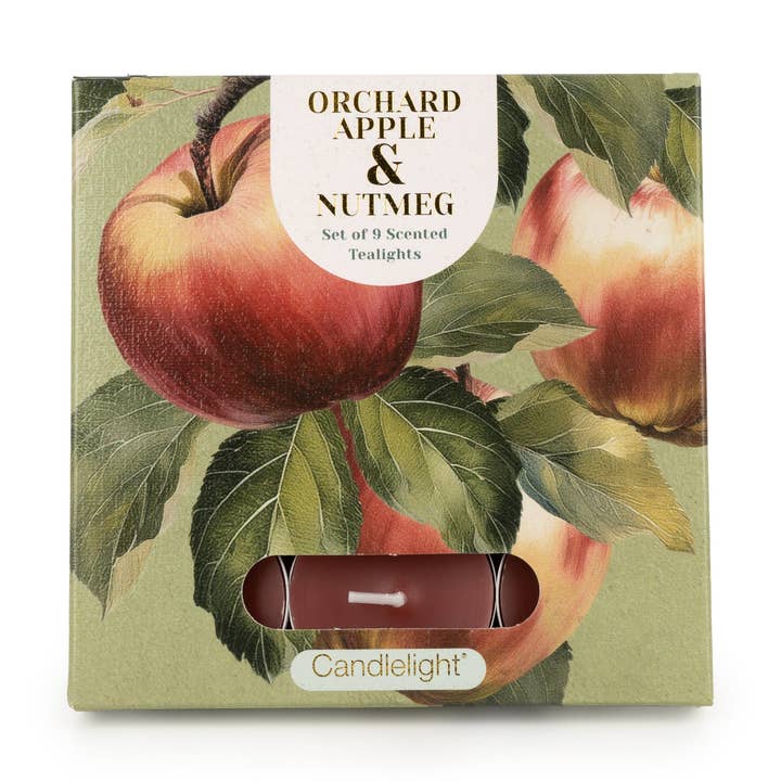 Set of 9 Tealights - Orchard Apple & Nutmeg 6pk for wholesale by Candlelight Products Ltd