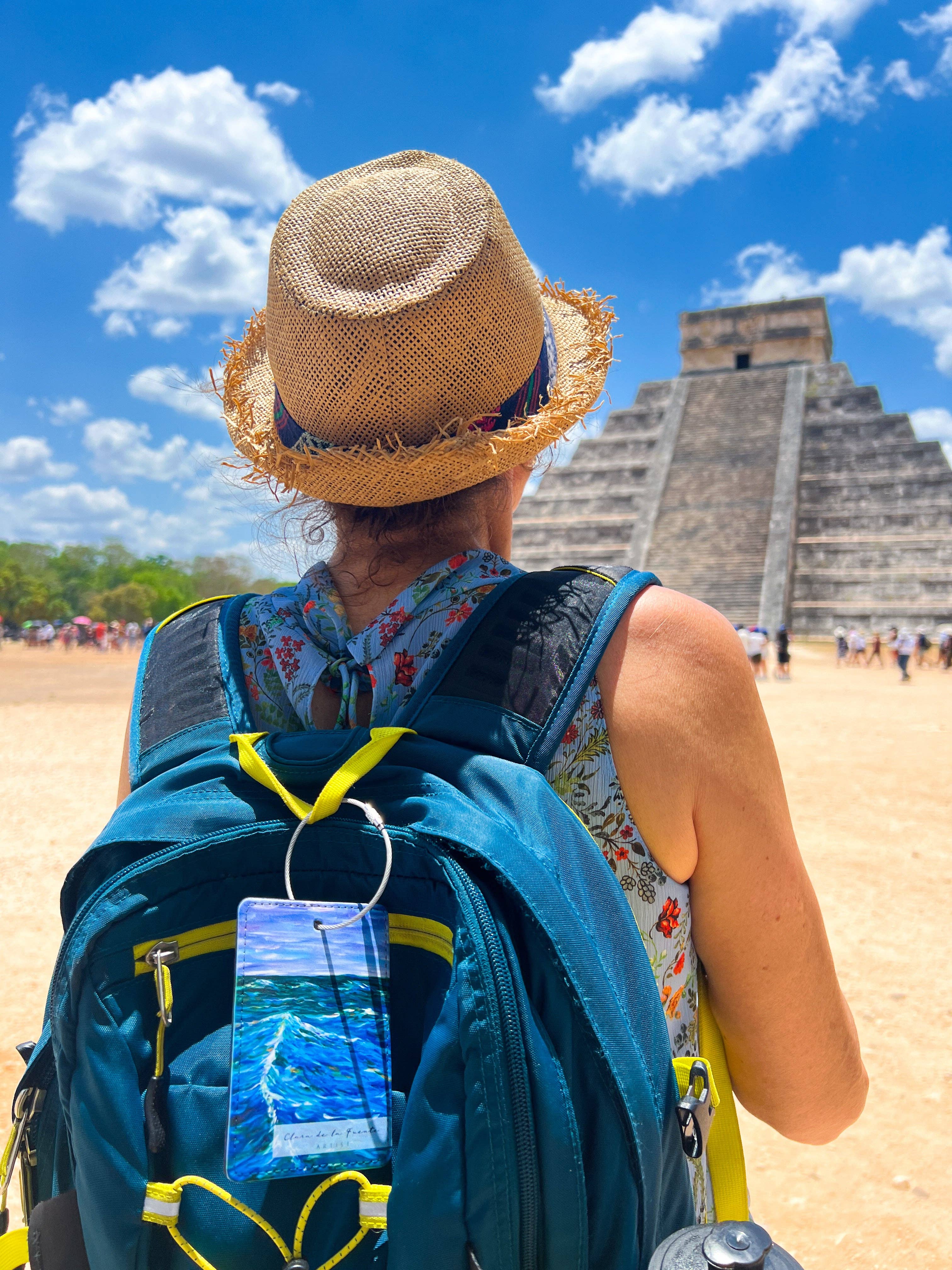 Clara de la Fuente Artist - Wholesale Luggage Tag - Colorful Sea Water Waves  Luggage Tag. Lake Michigan.Premium3