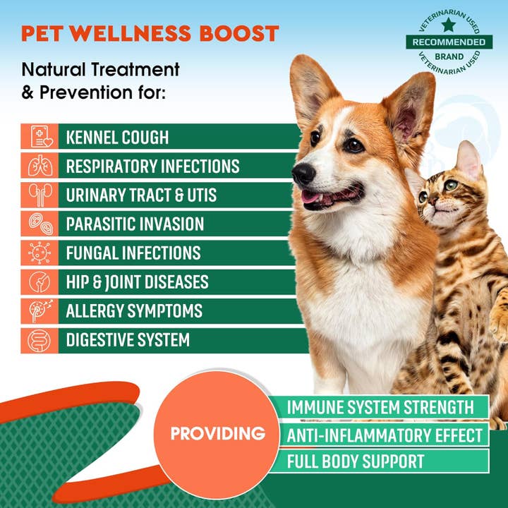 Beloved Pets - Wholesale Pet Supplement - Cat/Dog - Beloved Pets Natural Herbal Antibiotics for Cats and Dogs