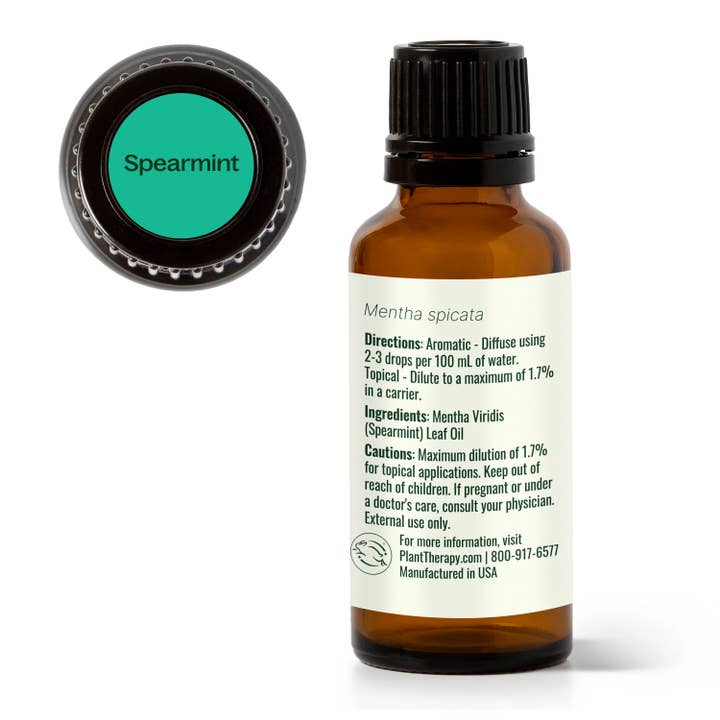 Plant Therapy - Wholesale Essential Oil - Spearmint Essential Oil 30 mL