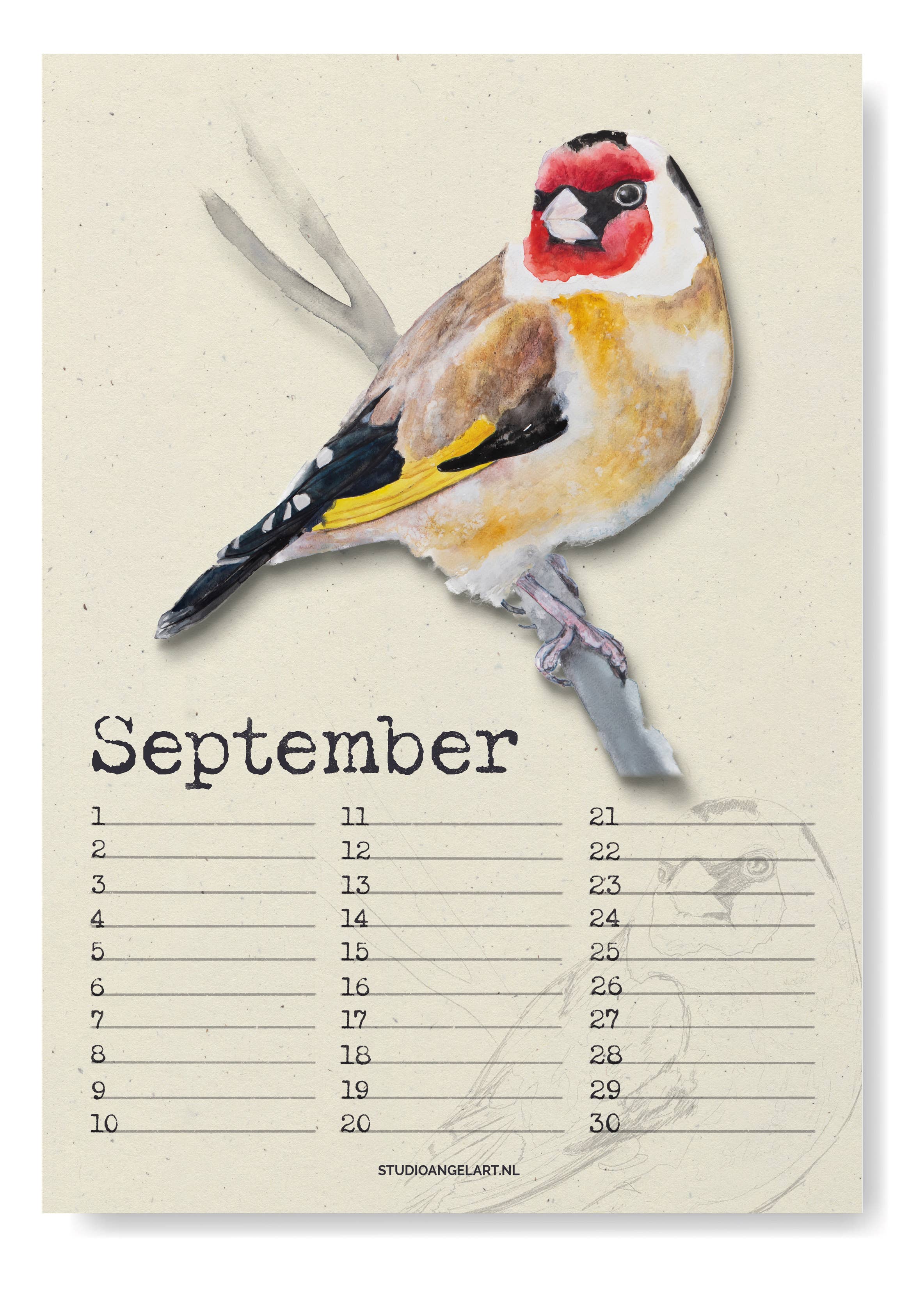 Studio Angelart - Vente Calendrier - Calendrier d’anniversaires avec oiseaux7