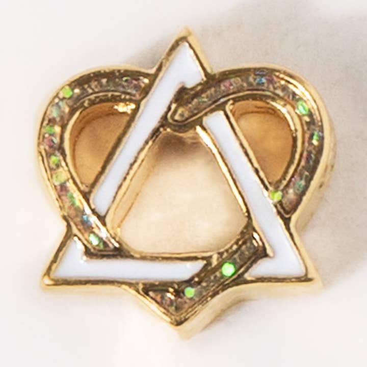 Origami Owl – wholesale Individuell berlock/hänge – Adoptionscharm0