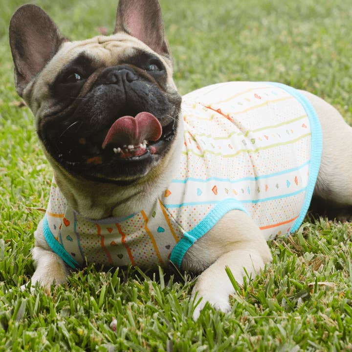 Vêtements pour chiens Love Paws : Adorable Hearts pour la vente par The Furry Fox