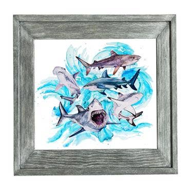 Aquarel haai schilderij prints voor wholesale door Moss & Marsh
