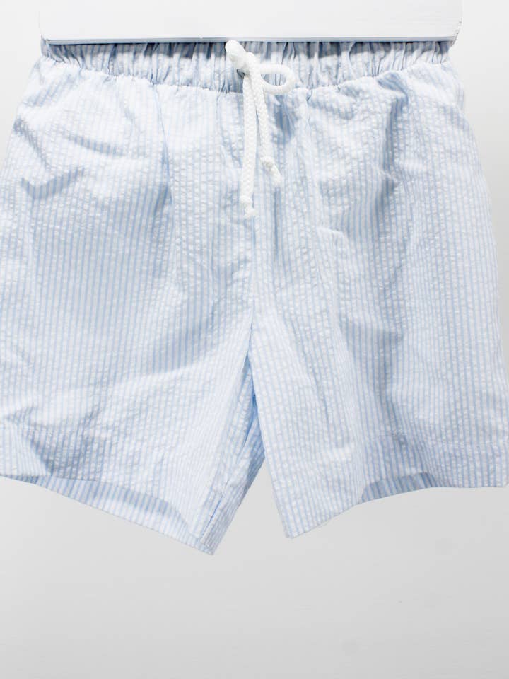Soft Blue Stripe Emmanuel Swim Trunks for wholesale by Charming Little Ones
