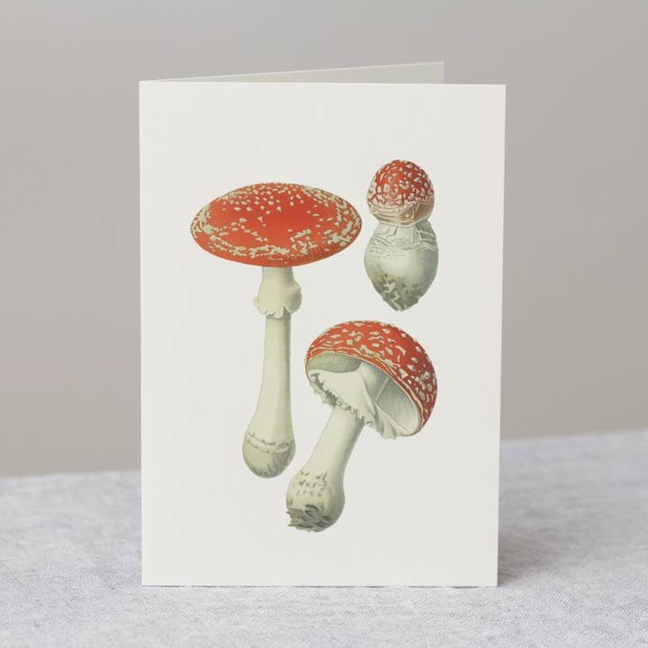 Cartão de saudação de cogumelo com envelope, decoração de conto de fadas por atacado de The Zoologist Archives