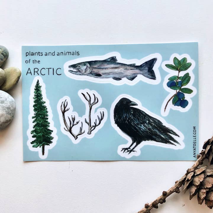 Plants and Animals of the Arctic Sticker Sheet for wholesale by Art by Anya Toelle
