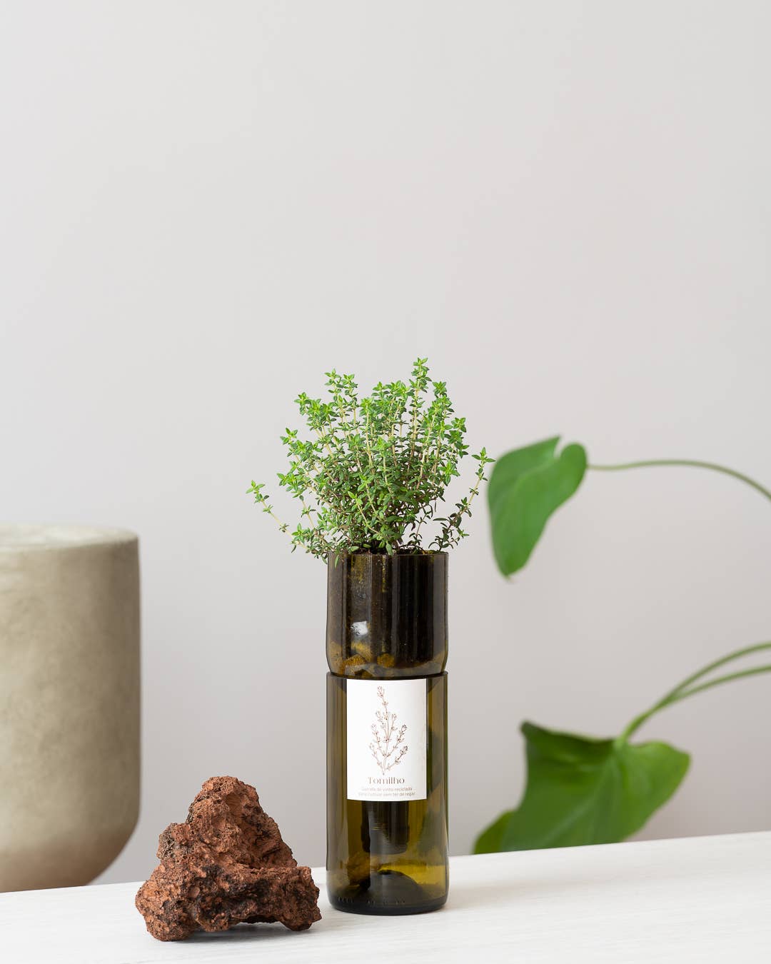 Life in a bag - Wholesale Plant Pot - Grow Bottle Thyme1