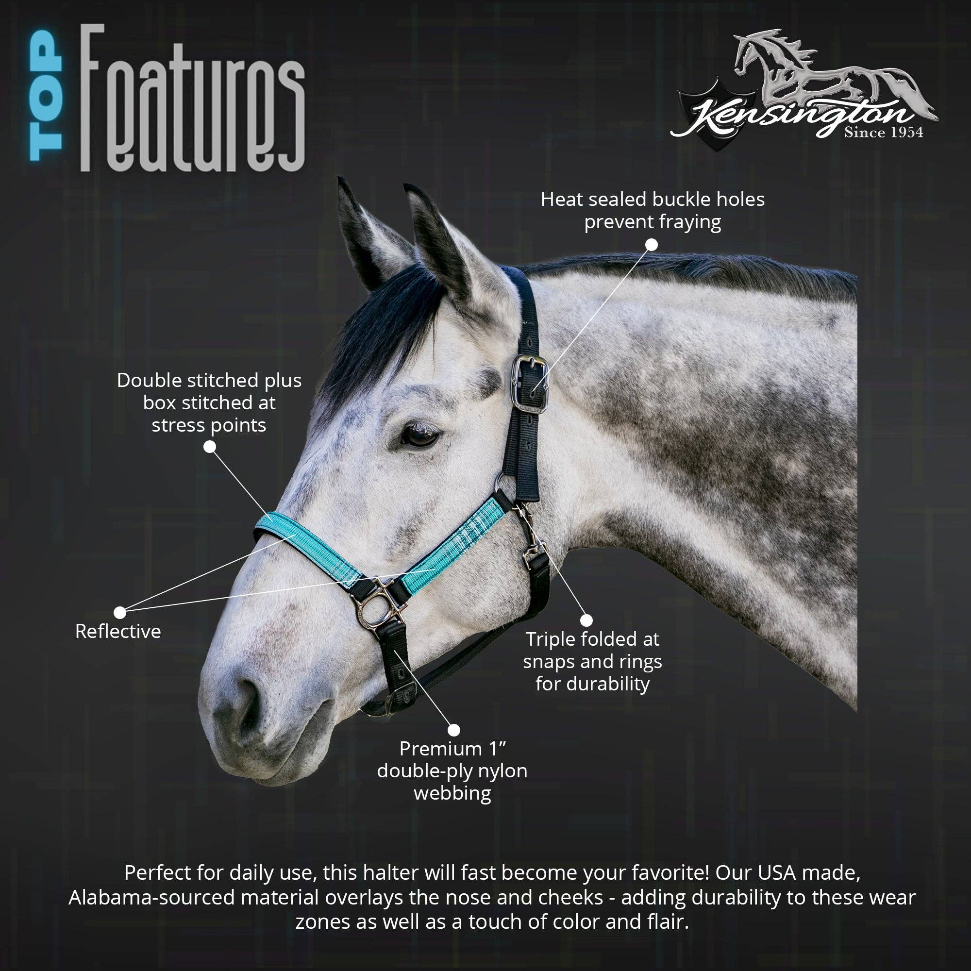 Kensington - Wholesale Horseback Riding Gear - Premium Nylon Halter6