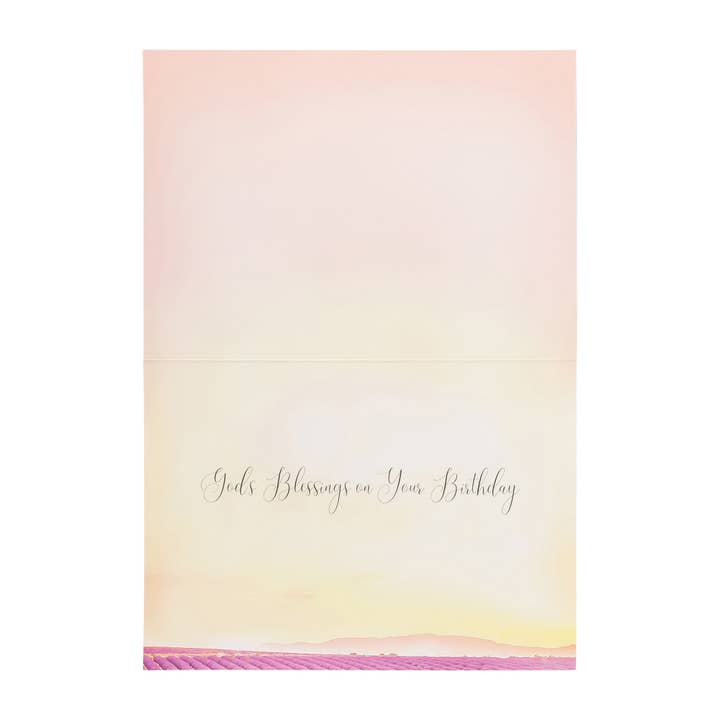 Divinity Boutique - Wholesale Birthday Card - Boxed Cards: Birthday For Him, Canoe, Elk, River and Field