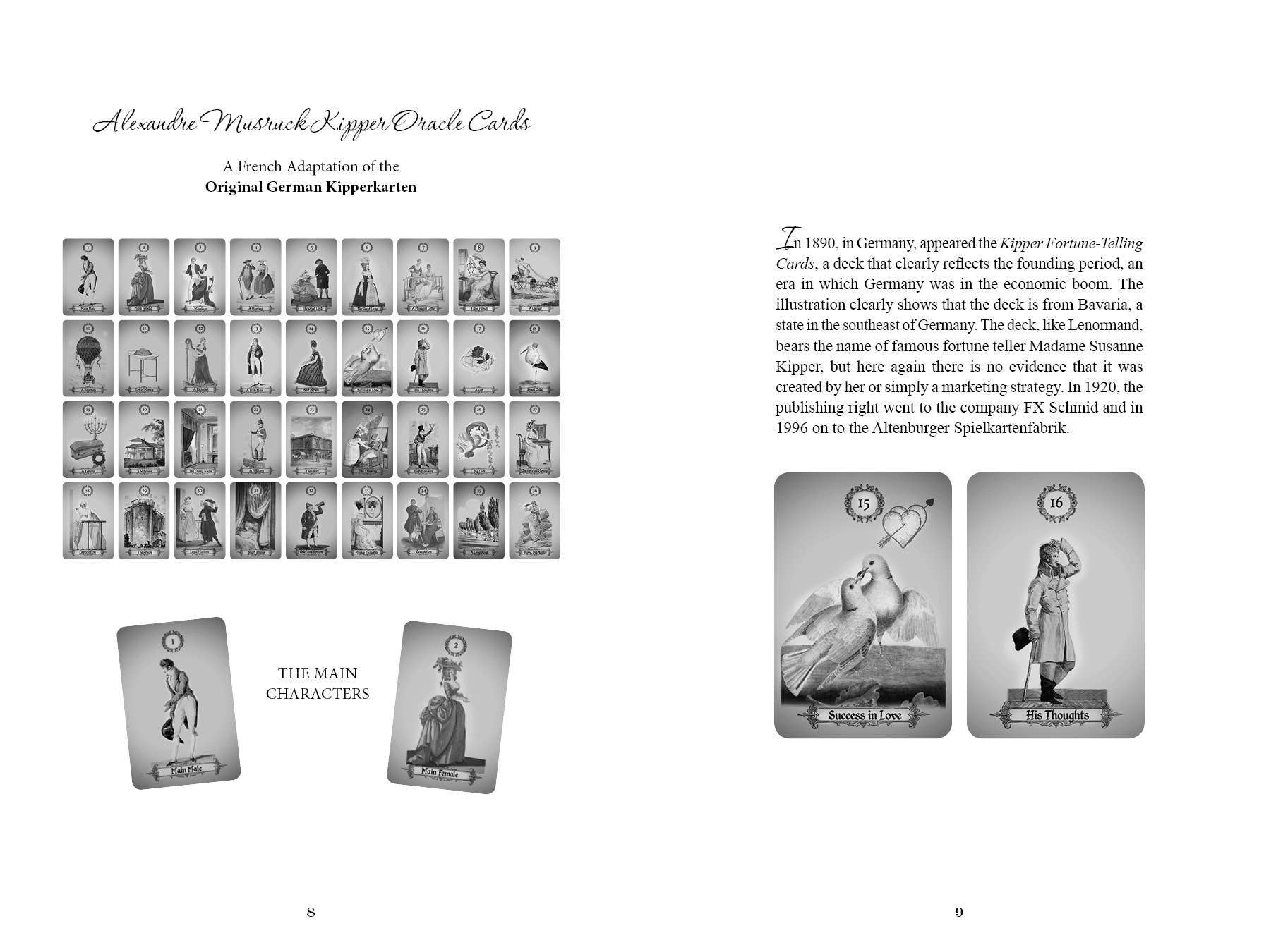 Schiffer Publishing - Wholesale Philosophy - The Art of Kipper Reading: Decoding Powerful Messages3