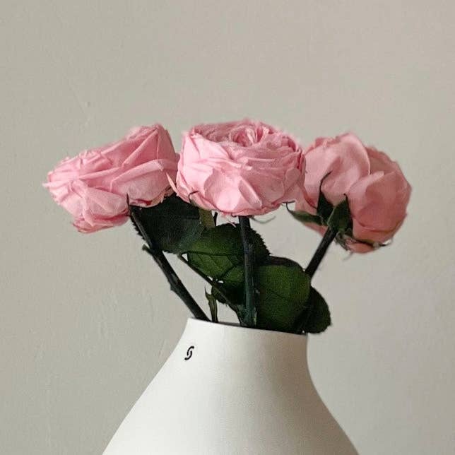 Konserverade engelska rosor – frystorkade – 1 eller 3 stycken – Äkta konserverade rosor i vitt eller rosa – Tidlösa & underhållsfria dekorationsblommor – Hållbara & eleganta för vaser, bröllop & presenter för wholesale av Oasis of Life