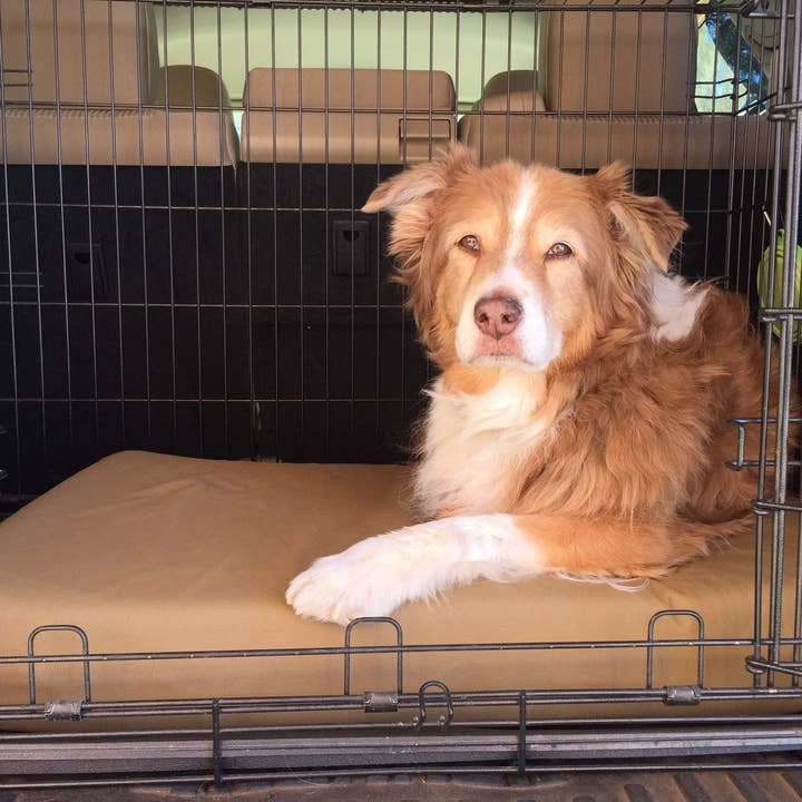 Barker Beds - Wholesale Pet Bed - Dog - 4" Orthopedic Crate Bed24