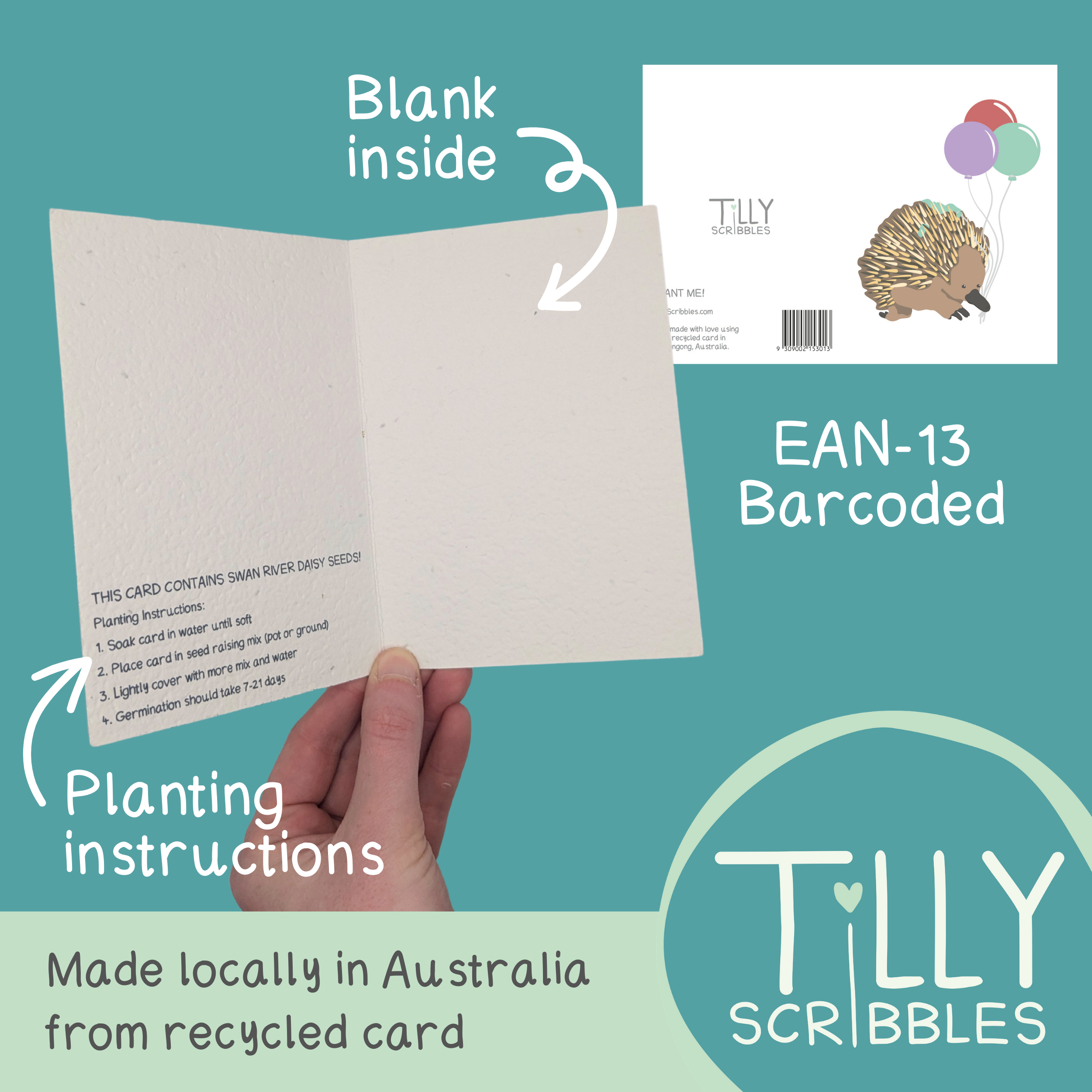 Tilly Scribbles - Wholesale Birthday card - Plantable Echidna Birthday Card1
