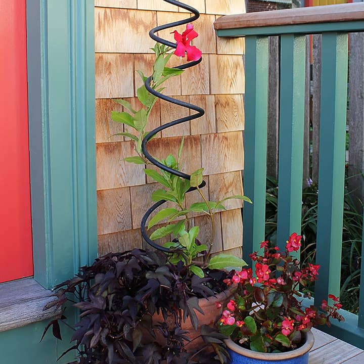 Traliccio a spirale per la vendita all'ingrosso da parte di ACHLA Designs