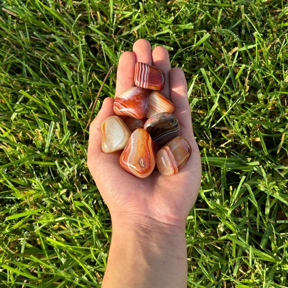 Earths Elements Wholesale - Vente Pierre et cristal de spiritualité - Cristal roulé - Cornaline, 2 livres1