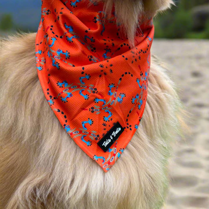 Tails and Trails - Wholesale Pet Bandana - Dog - Reptile Bandana2