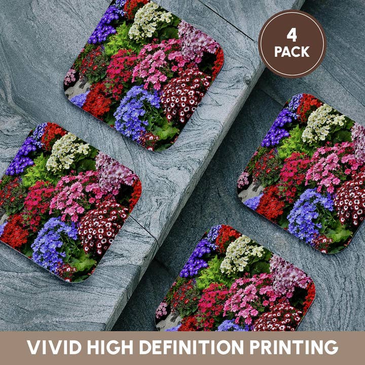 3dRose - Wholesale Coasters - 3dRose, Springtime gardens, Victoria, BC, Canada. Cinerarias in bloom, Coaster12