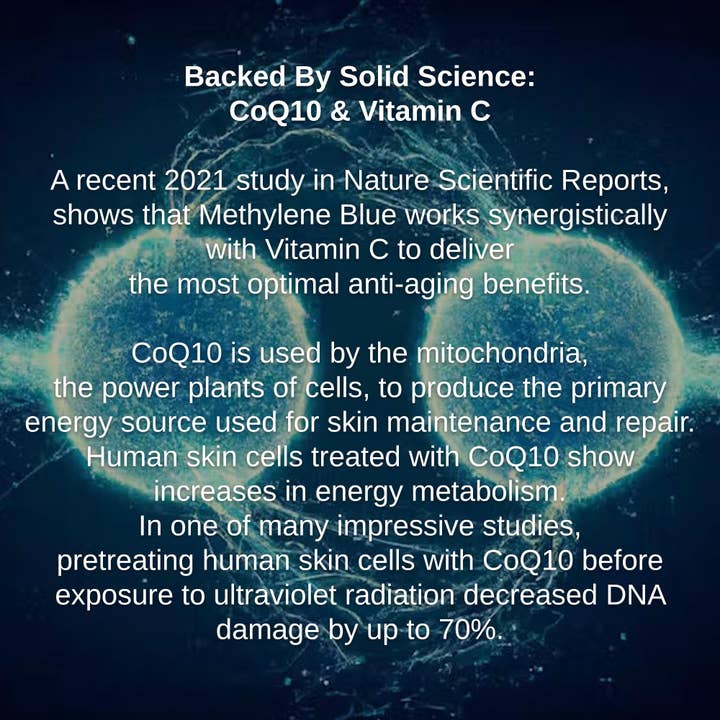 Shwally - Wholesale Anti-Aging Moisturizer - NEW Shwally Tallow & Methylene Blue Anti-Aging Face Balm4