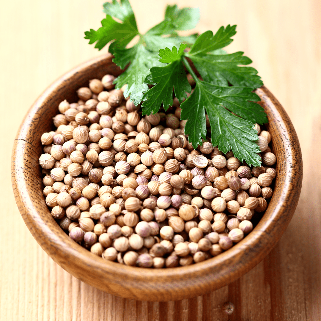 Aromachology - Wholesale Essential Oil - Organic Coriander Oil0