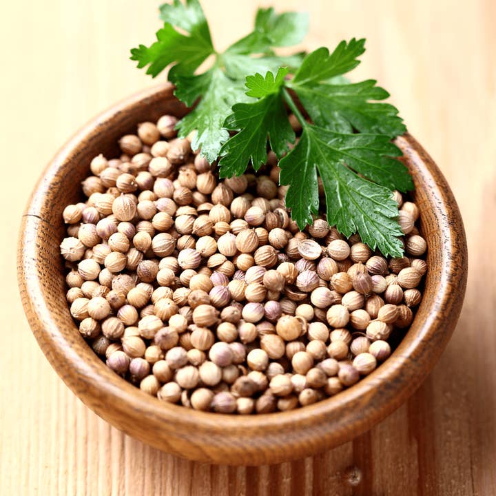 Aromachology - Wholesale Essential Oil - Organic Coriander Oil