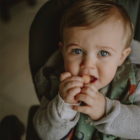 Carotte & Cie - Vendita all'ingrosso Bavaglino - Neonati - Bavaglino dinosauro3