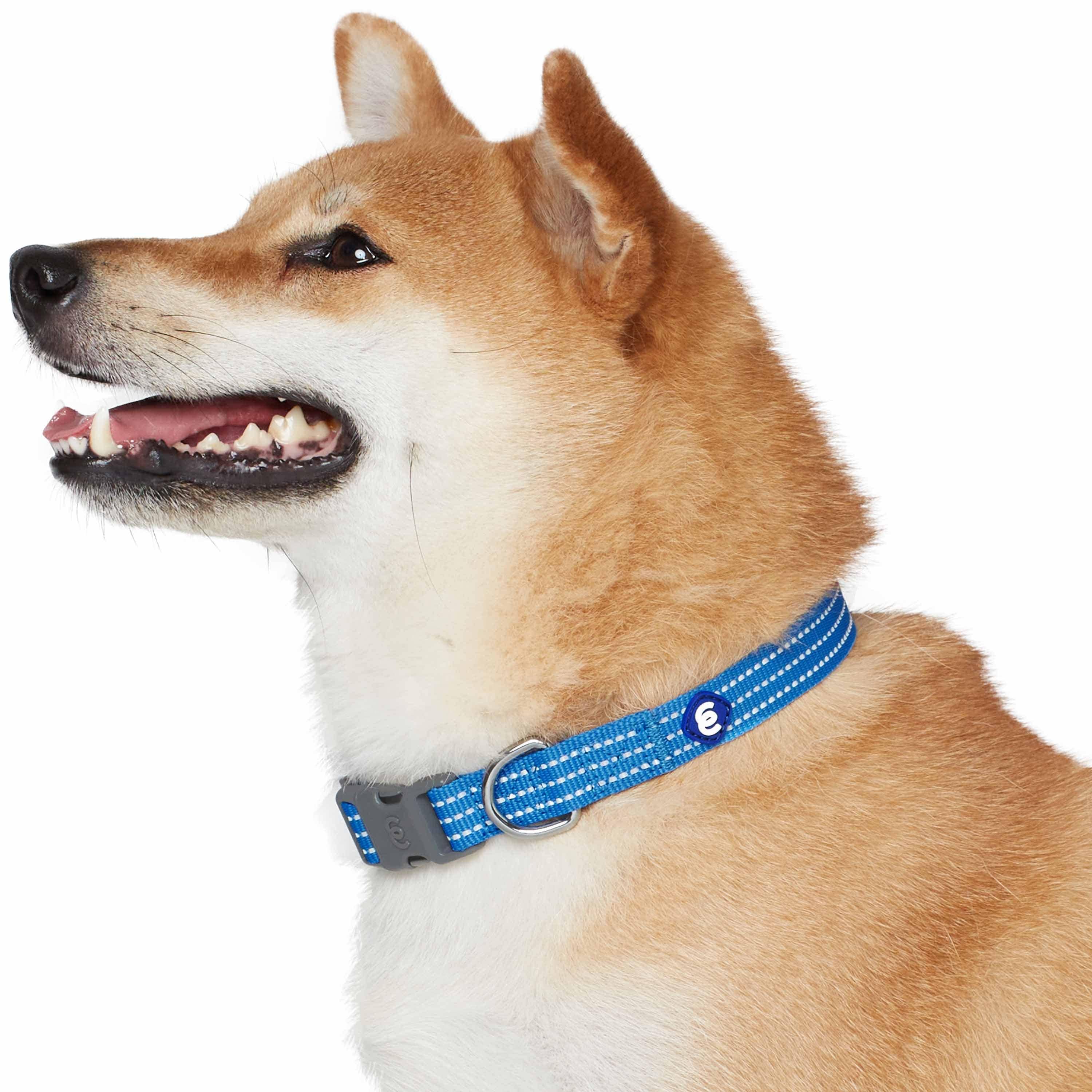 Blueberry Pet - Venta al por mayor Collar - Perros - Collar reflectante para perros Better Basic en 8 colores40