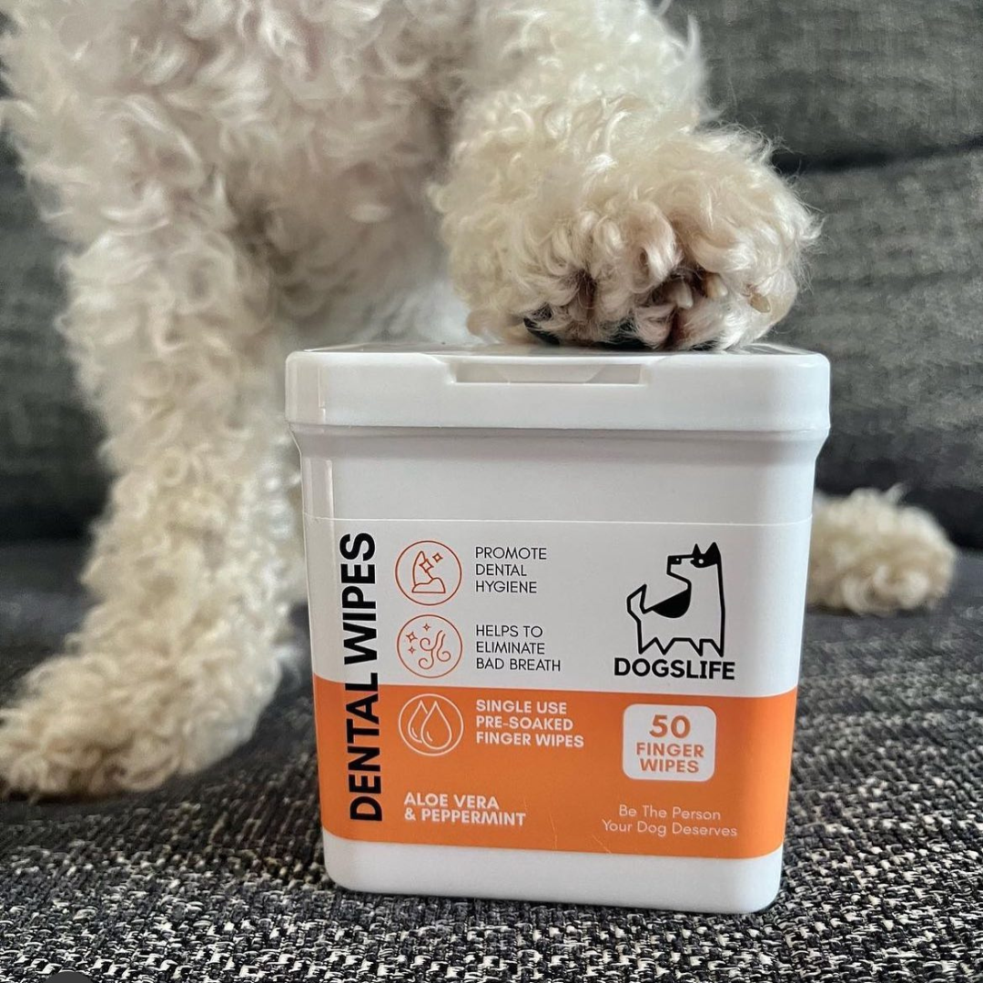 OurPetsLife – wholesale Godis - Hund – Rengöringsservetter för hundtänder6