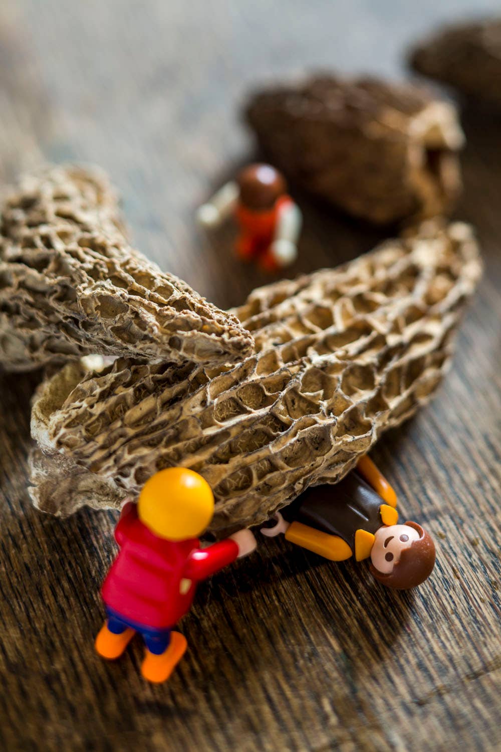 Superstories - Wholesale Chips - Morel - Supersec1