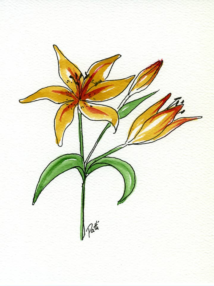 Tiger Lily (lot de 8) pour la vente par Fine Lines