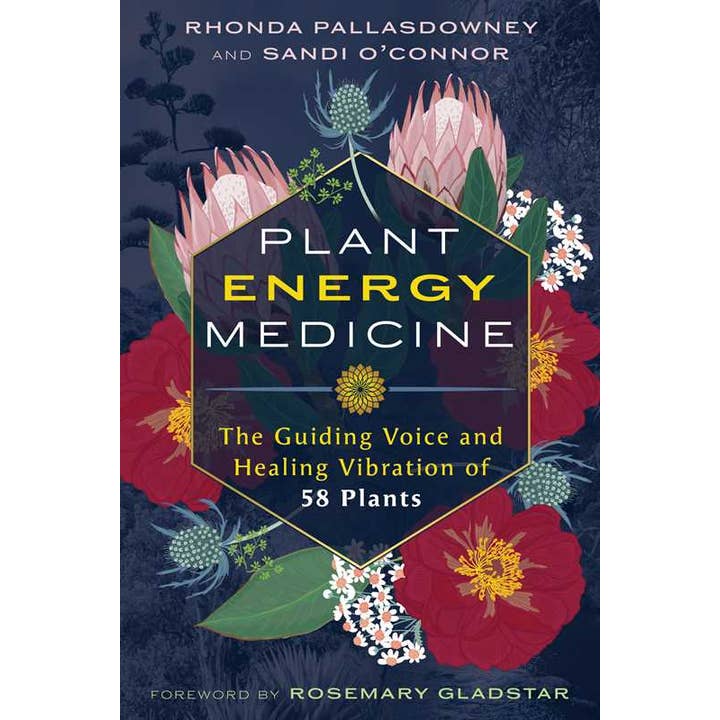 Plant Energy Medicine by Rhonda PallasDowney for wholesale by Simon & Schuster
