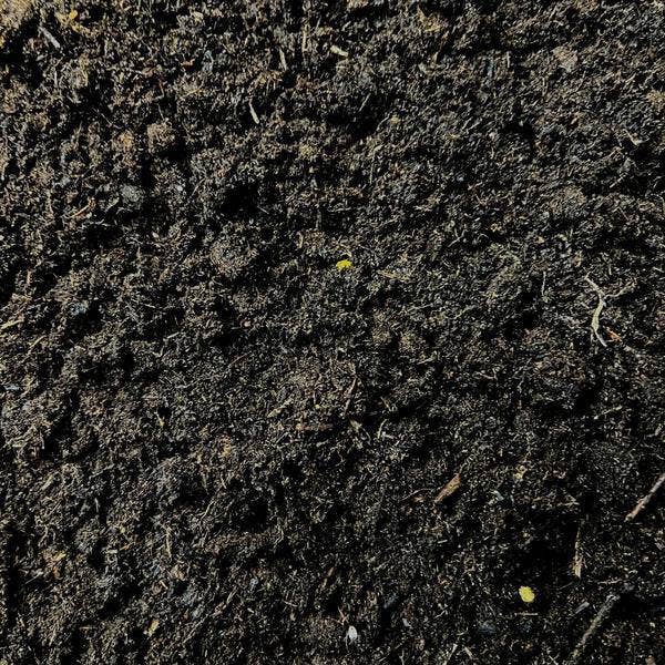 Oasis of Life – wholesale Planting/potting soil – Culvita Special Potting Soil – 40 Liters – Premium Soil for Indoor & Outdoor Plants – 6 Months Nutrient Supply with EasyCoat – Ideal for Potting & Repotting2