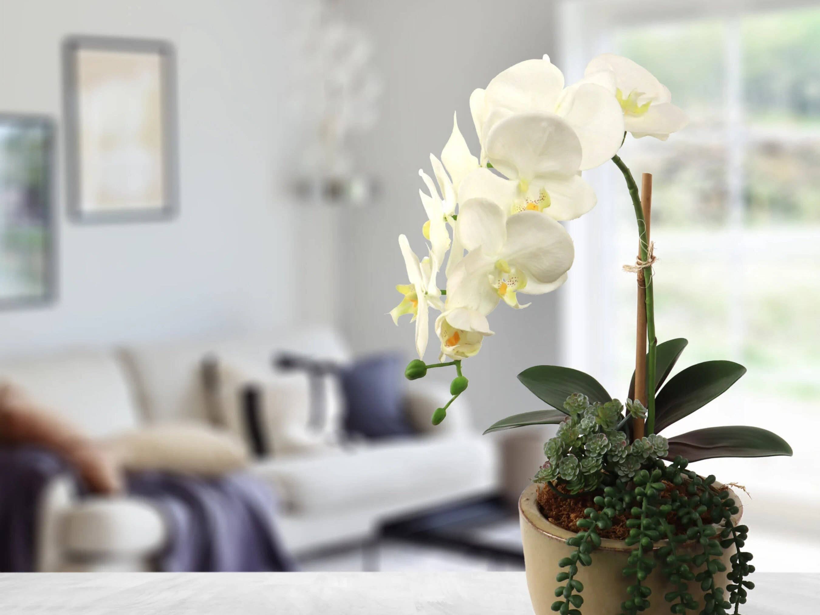 Larksilk – wholesale Konstgjorda blommor – 29" Vit Phalaenopsis Orkidéstjälk med 9 Blommor & 3 Knoppar2