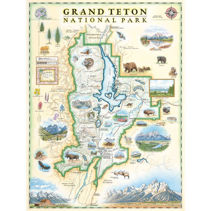 Grand Teton National Park Hand-Drawn Map for wholesale by XPLORER MAPS