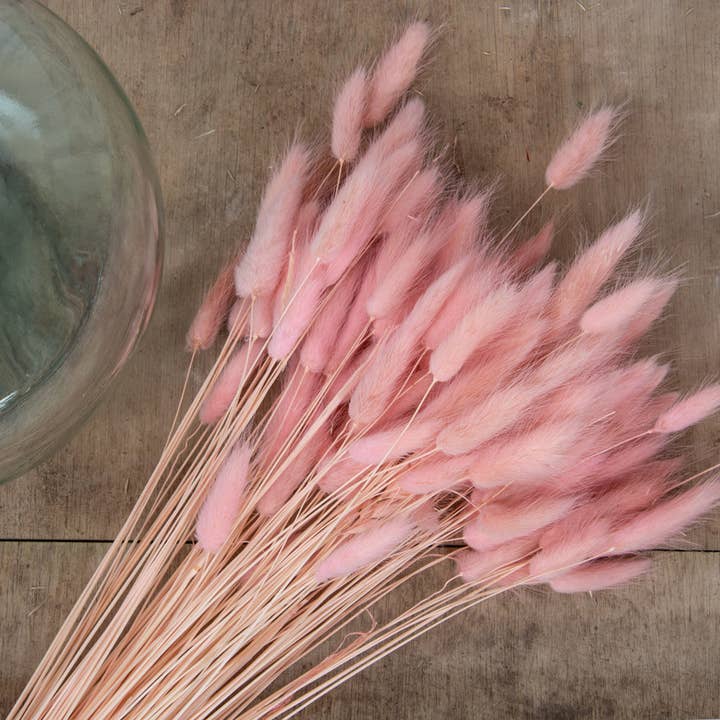 Bunny Tails Rose pâle pour la vente par pampas studio uk