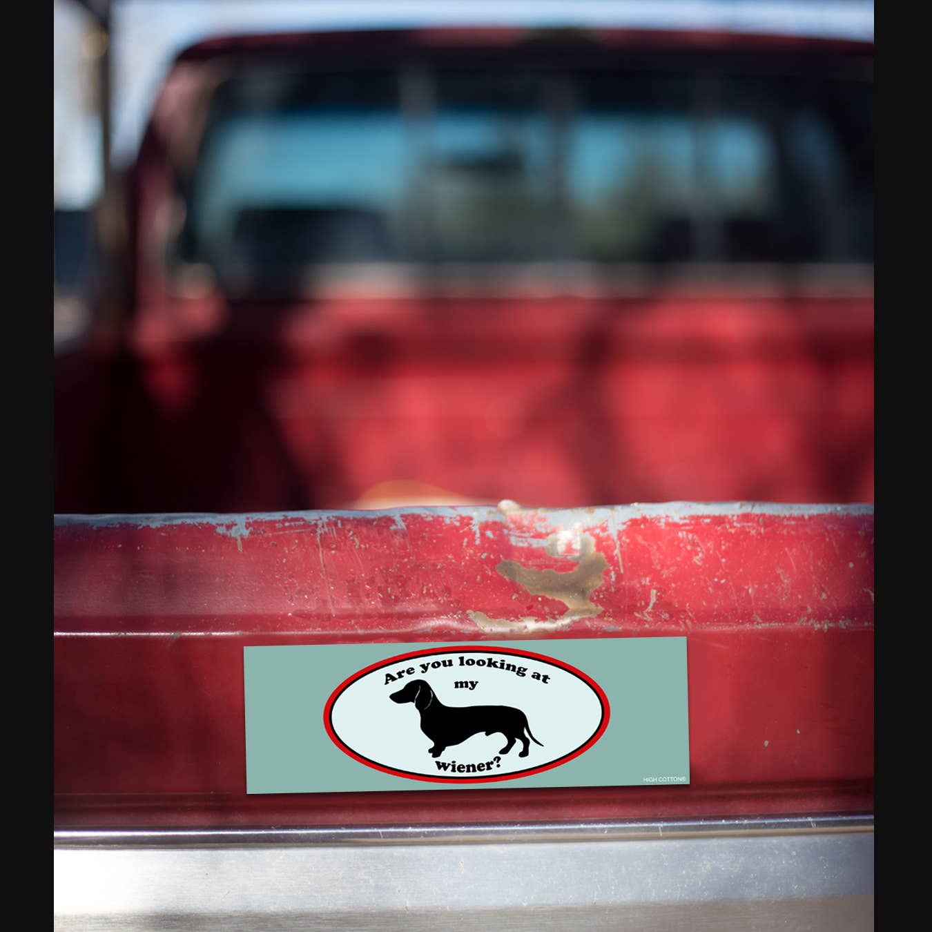 High Cotton Gifts - Wholesale Magnet - Looking at My Weiner Magnet1