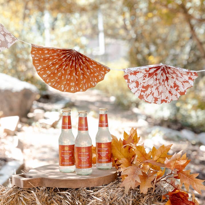 My Mind’s Eye - Wholesale Party Sign/Banner - PLHB302 - Harvest Bunting Banner2