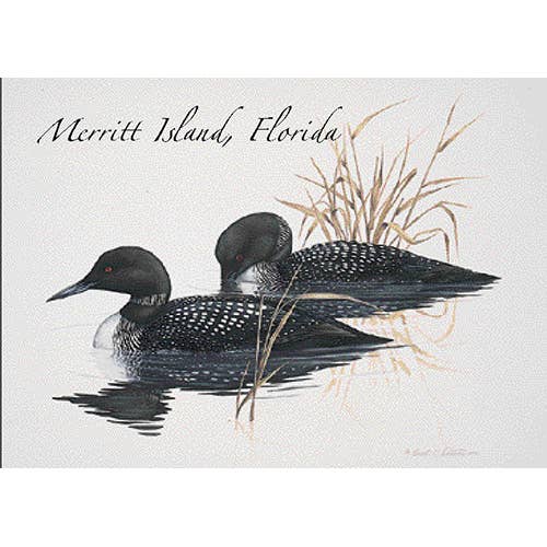 Common Loon for wholesale by Earth Sky + Water