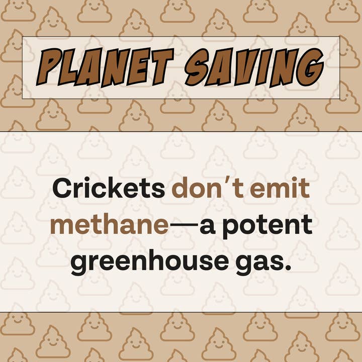 Chippin - Wholesale Pet Treats - Dog - Superfood Gut-Health Peanut Butter Cricket Pumpkin Treats4