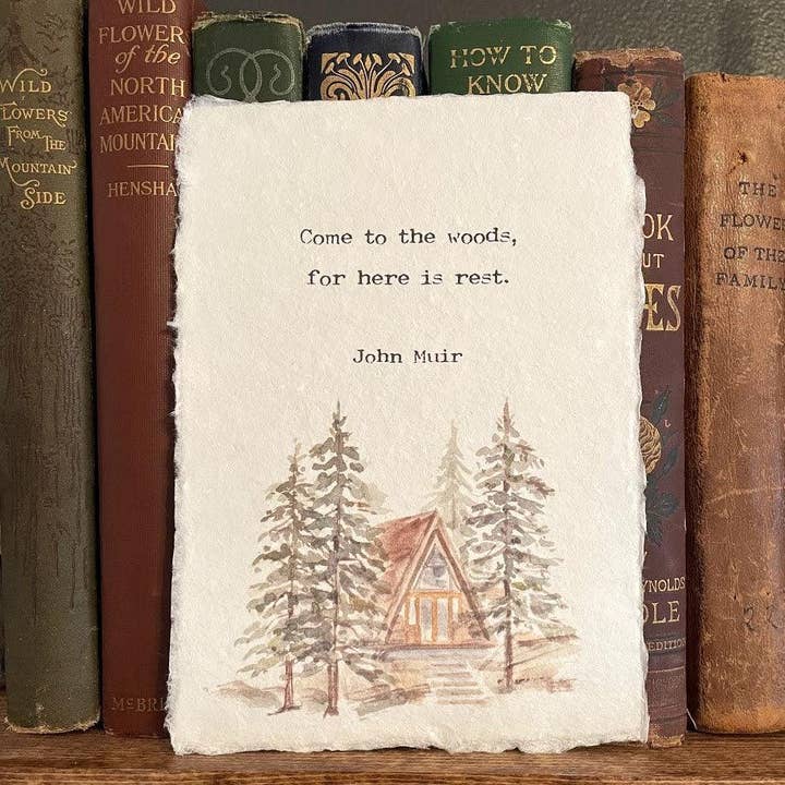 Alison Rose Vintage - Wholesale Art Print - Come to the woods, for here is rest John Muir quote print2