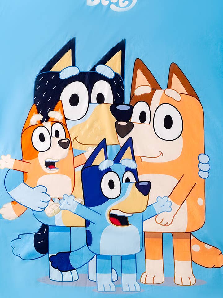 Kids Charm Online - Wholesale Bedding Blanket - Kids & Baby - BB-24: BOYS 38 X 90 BABY BLANKETS AVAILABLE IN 3 STYLES.3