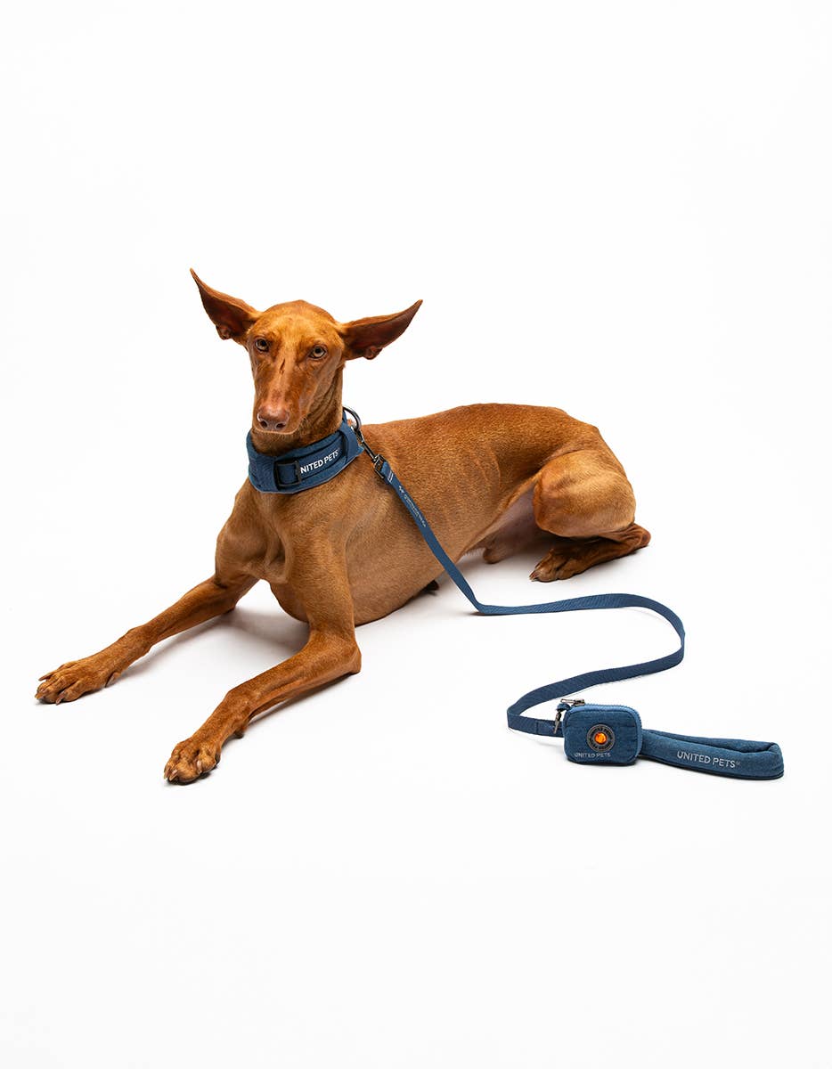 United Pets – Engroshandel Hundesnor - Hund – Hund Jeans Polstret Blød Snor7