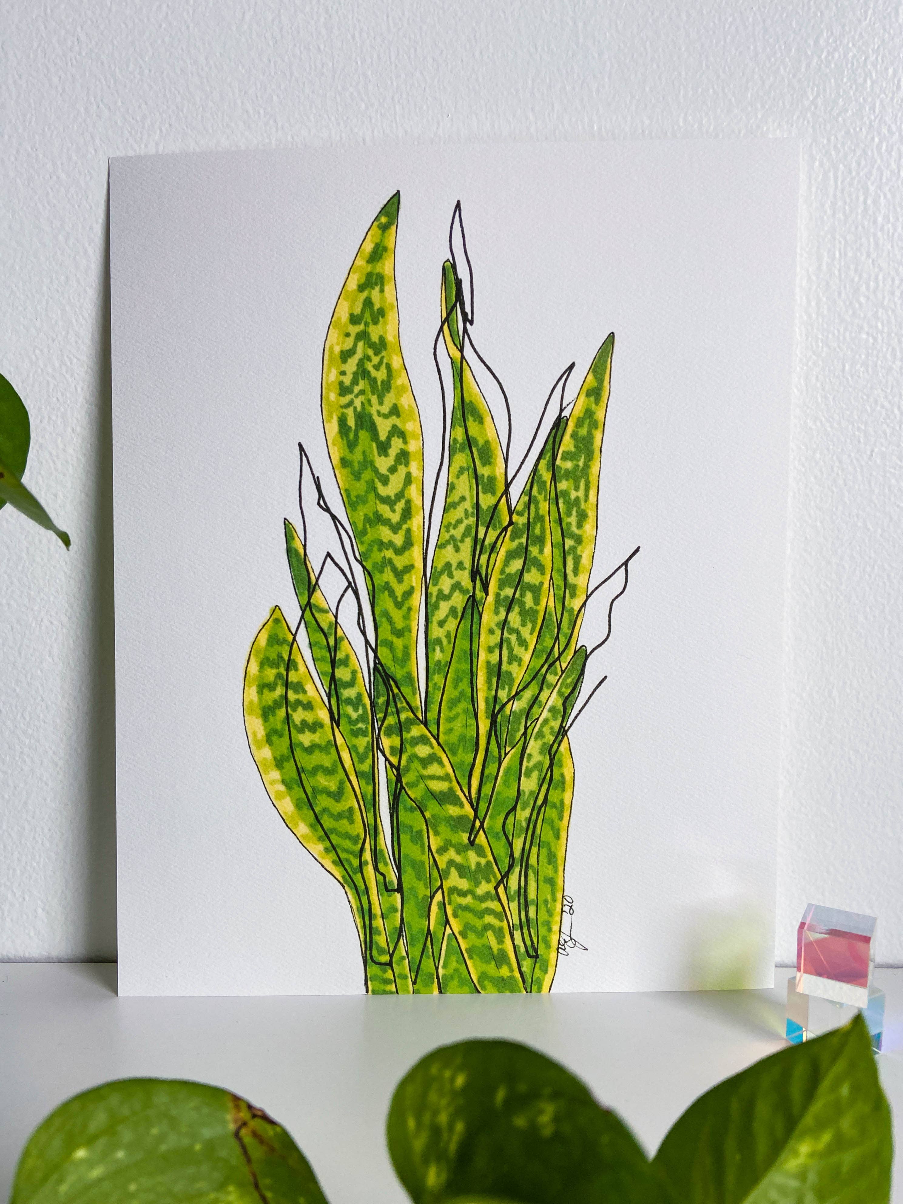 AEJ.CREATE - Wholesale Art Print - Archival Houseplant Art Print - Snake Plant5