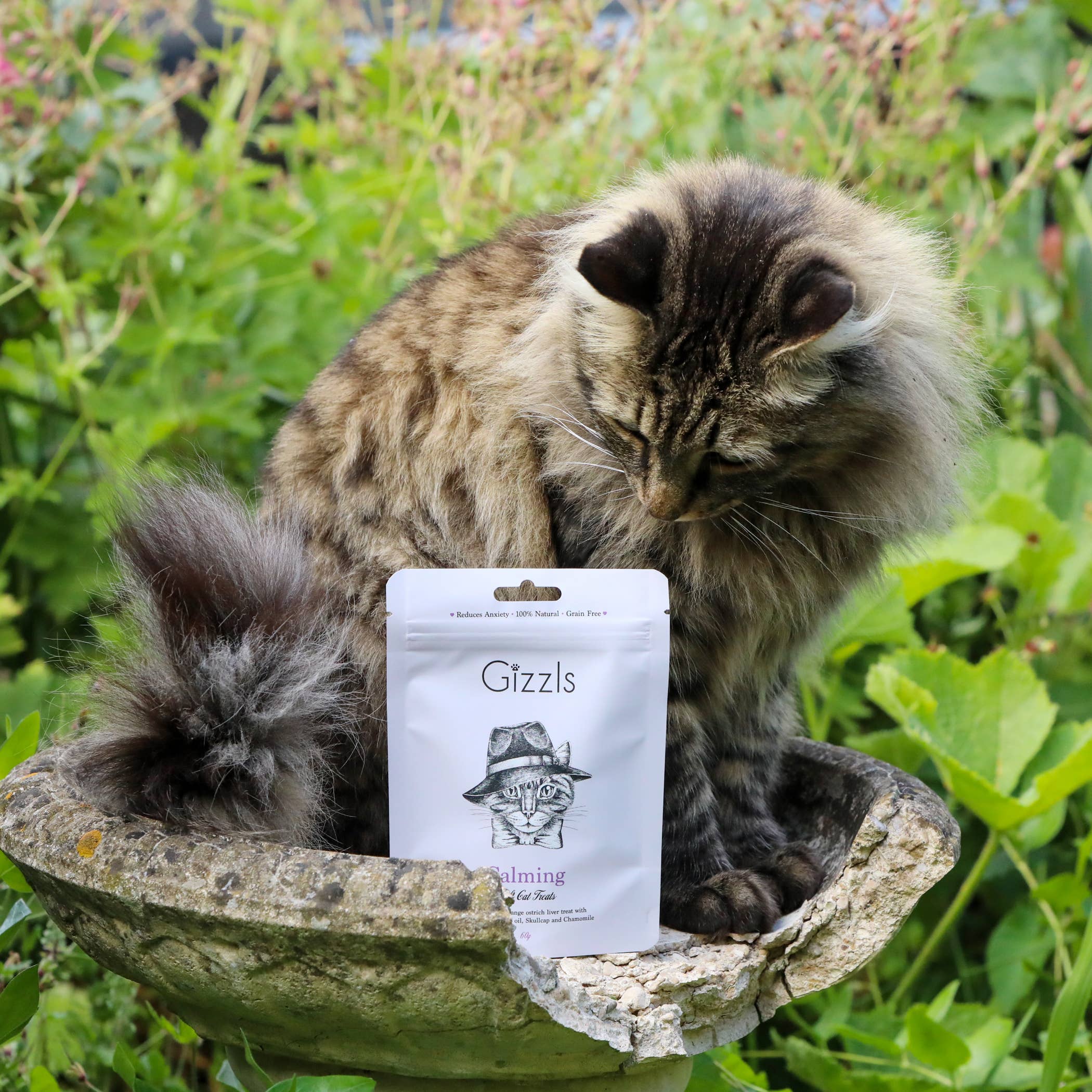 Gizzls – wholesale Pet treats – Cat – Calming Soft Cat Treats1